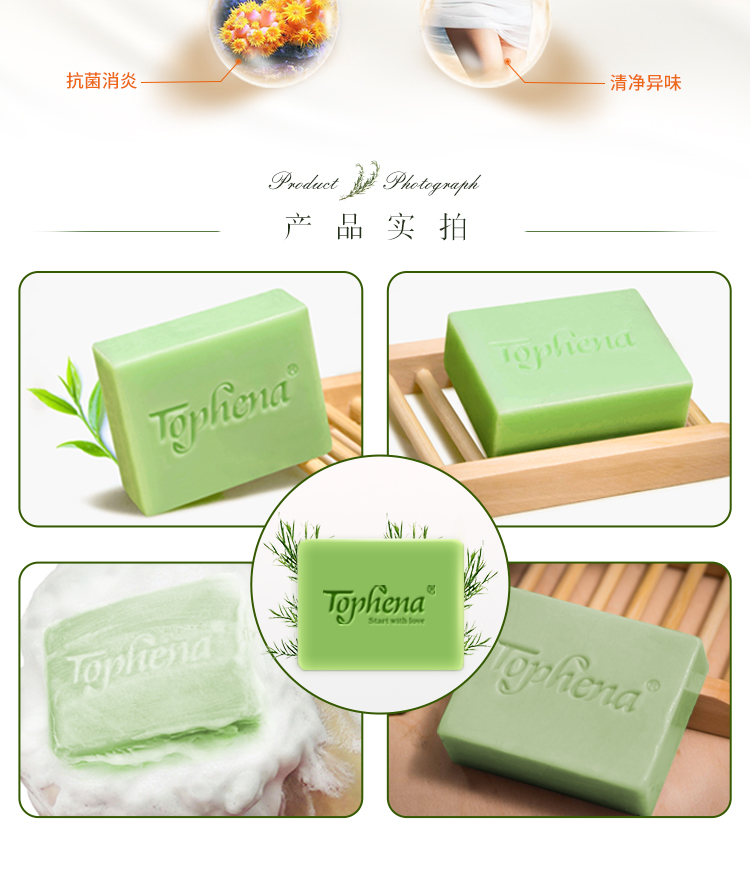 茶树_06.jpg