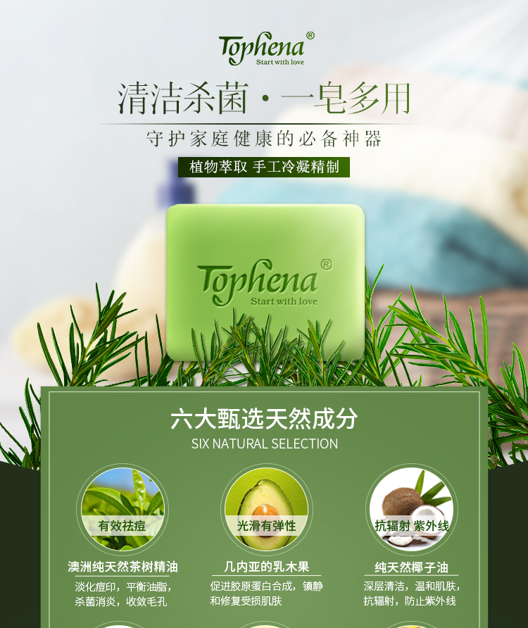 茶树_01.jpg