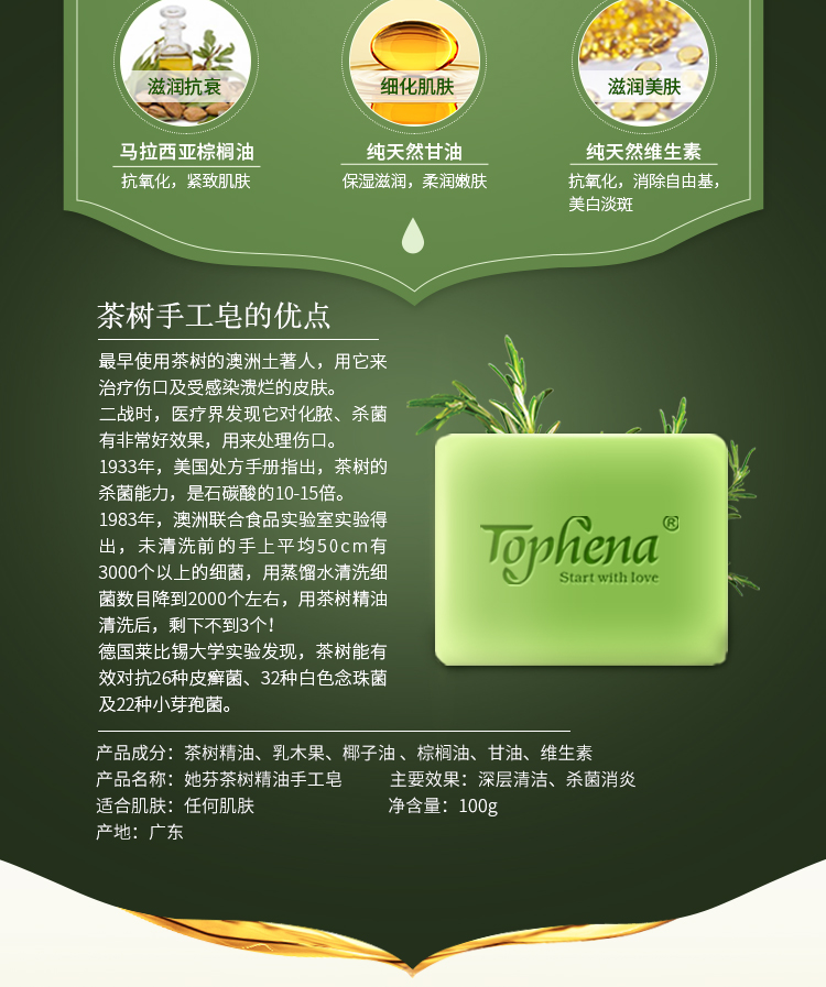 茶树_02.jpg