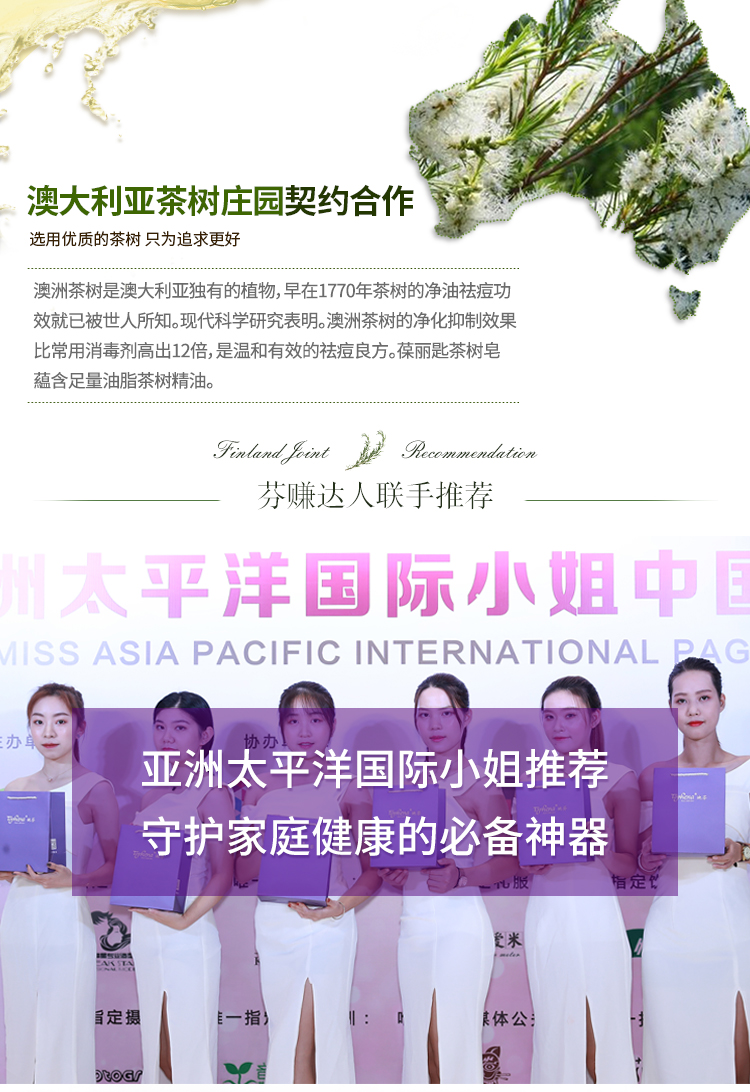 茶树_04.jpg