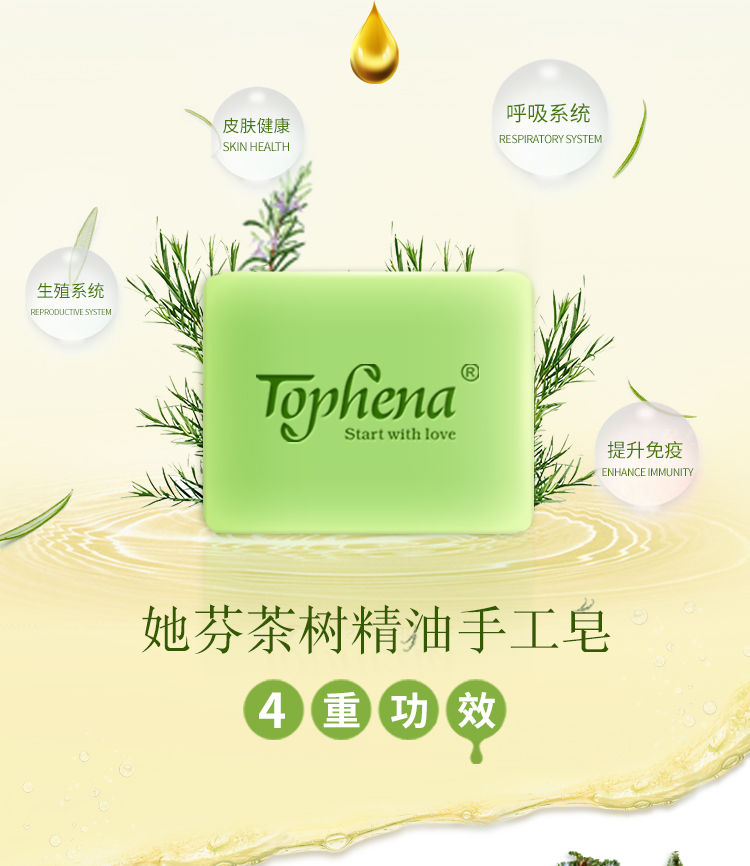 茶树_03.jpg