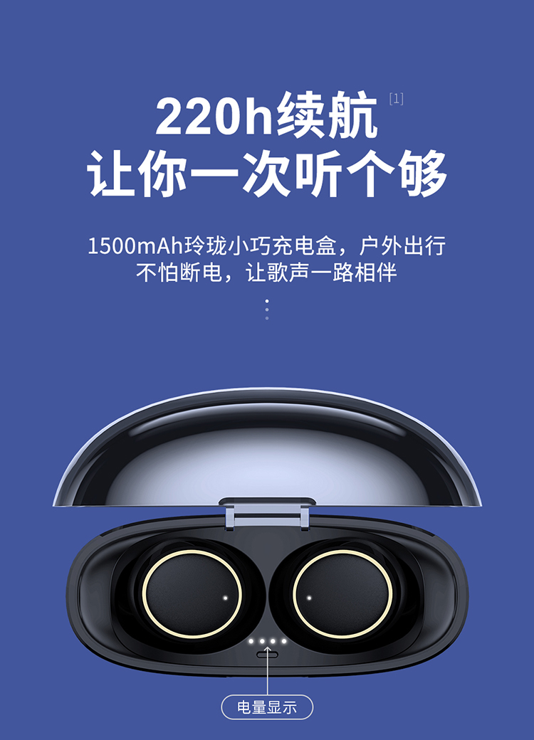 JR-T05_02.jpg