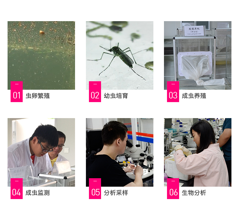 GM936灭蚊灯2_14.jpg