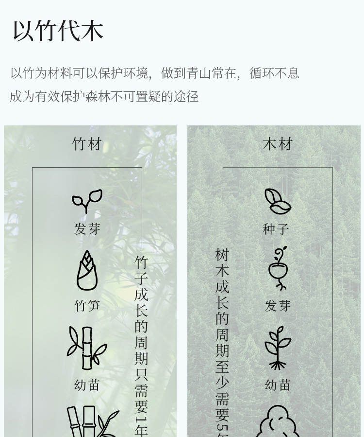 卷纸_13.jpg