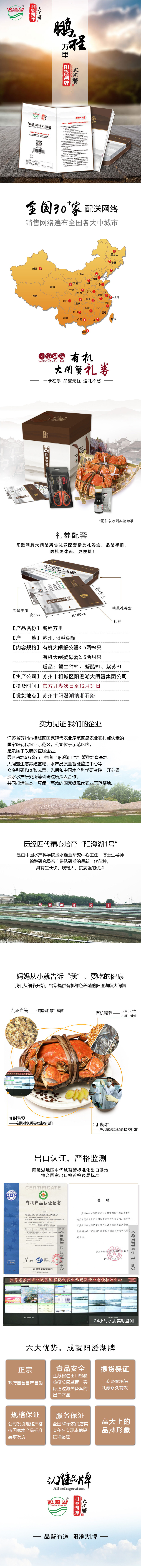 698鹏程万里.jpg
